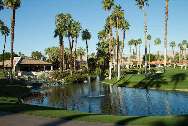 Life in the desert - Glen Villa Art Garden