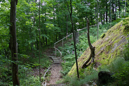 path.jpg