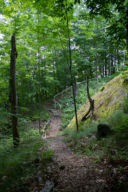 path.jpg path.jpg