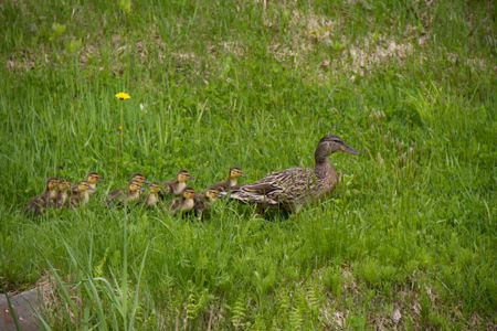 garden_20110523015.jpg