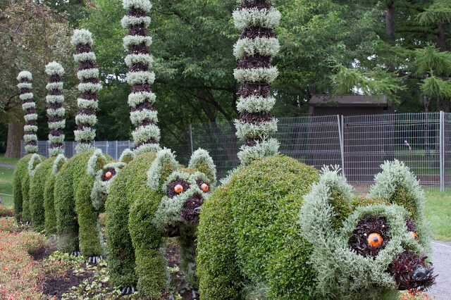 Mosaiculture_2013-09-237.jpg