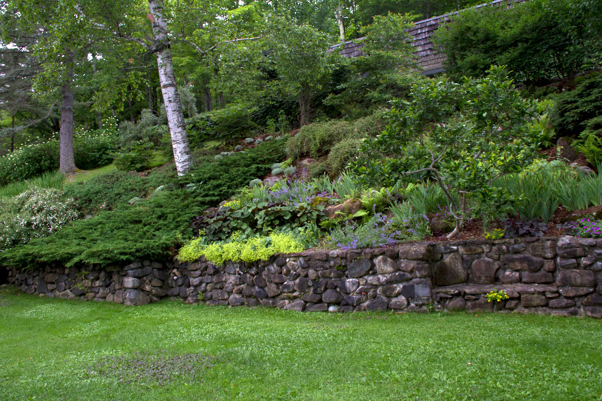 lower garden