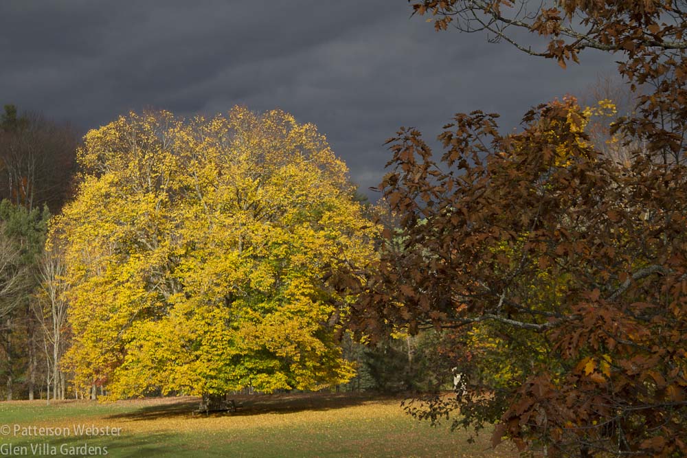 A stormy sky in the late afternoon adds drama to the scene.