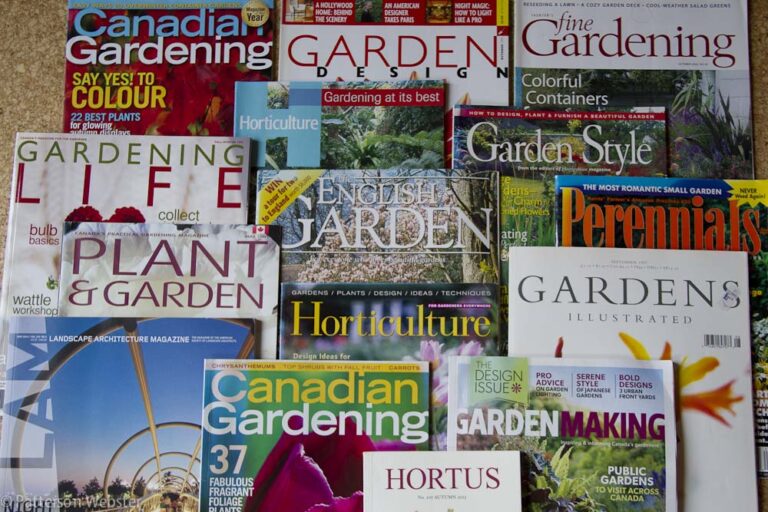 A few magazines, chosen at random