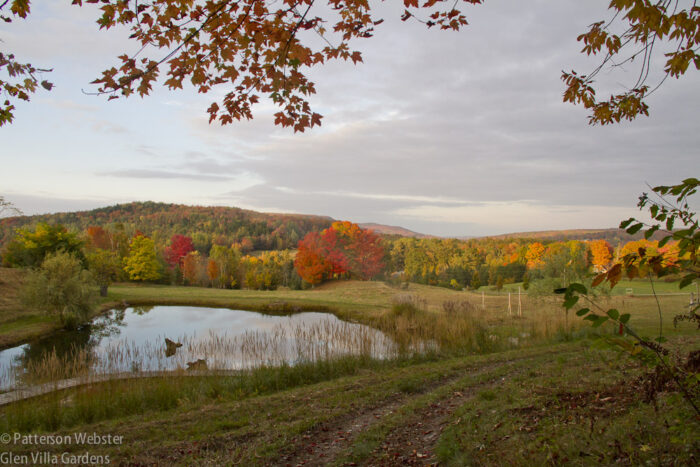 blog skgpond-1
