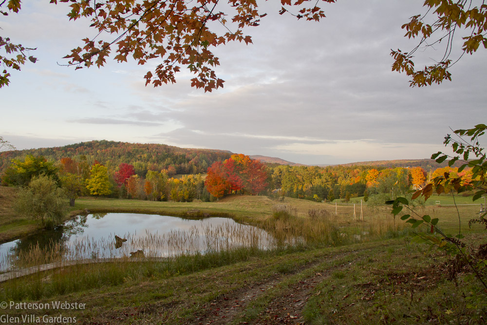 blog skgpond-1