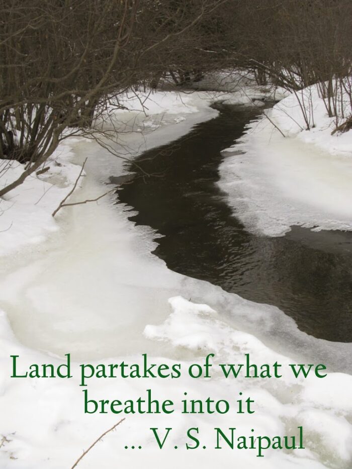 blog-stream-text