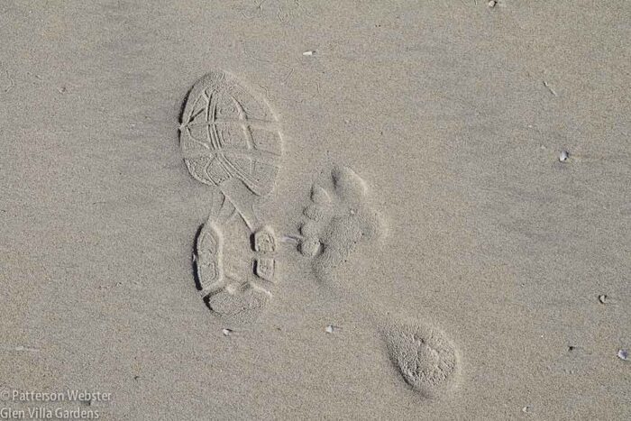 We leave our mark wherever we go.