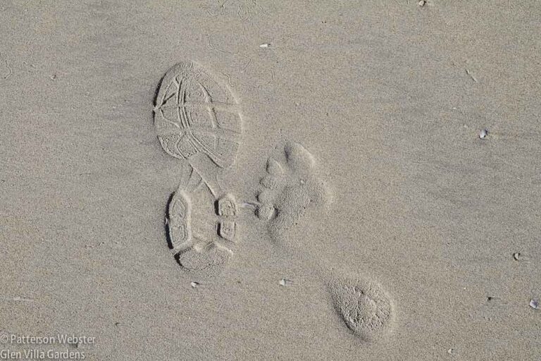 We leave our mark wherever we go.
