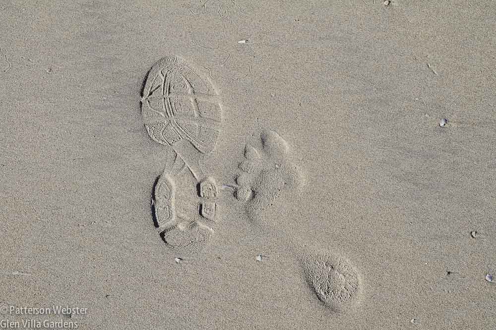 We leave our mark wherever we go.