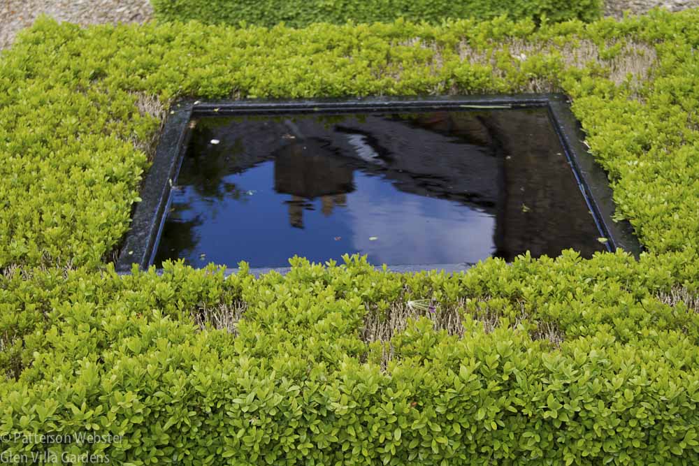 A square pool surrounded by boxwood reflects the sky above, at Gothick House, the garden of photographer Andrew Lawson.