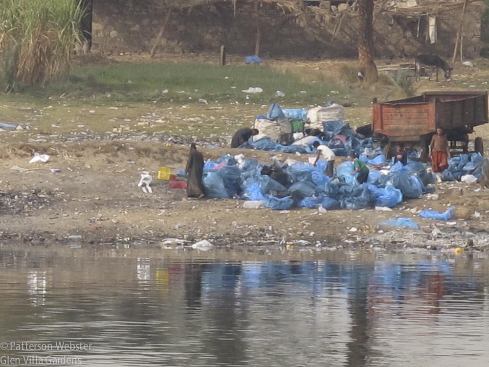 Garbage is reflected in the waters of the Nile River.