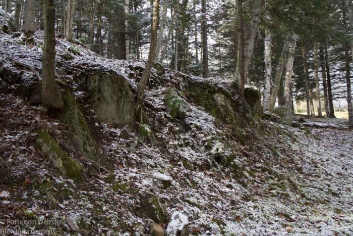 A light snow frosts rocks by the driveway.