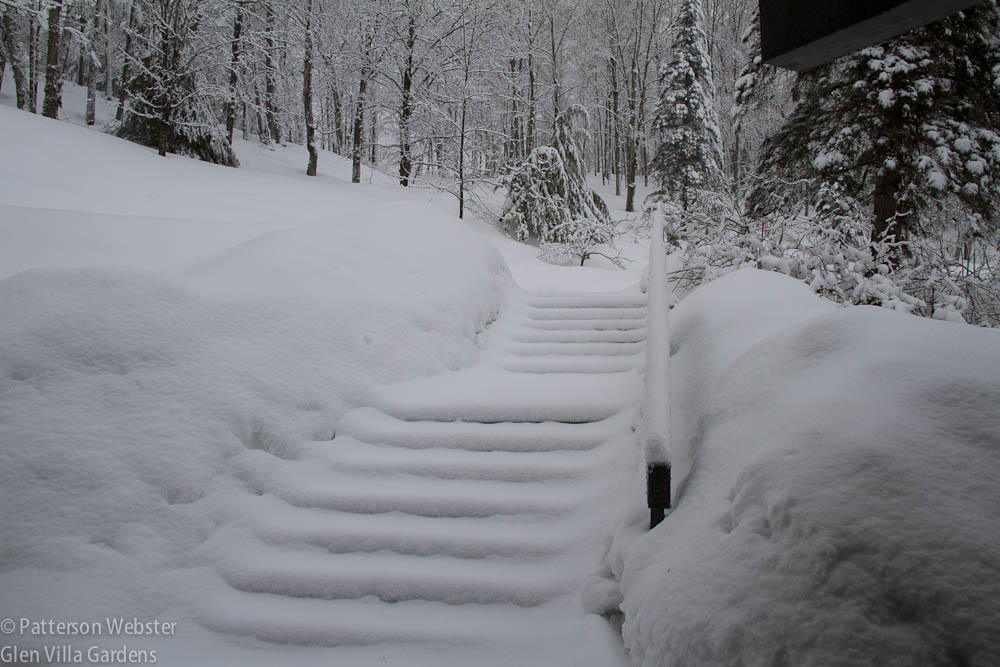 Snow covers the front steps.