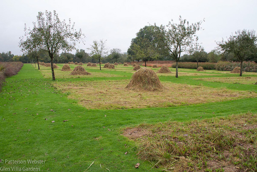 Long grass swept into mini haystacks provides additional interest in autumn.