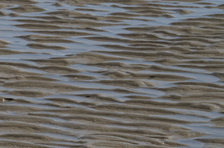 Waves leave rippling patterns in the sand on Kiawah Island.