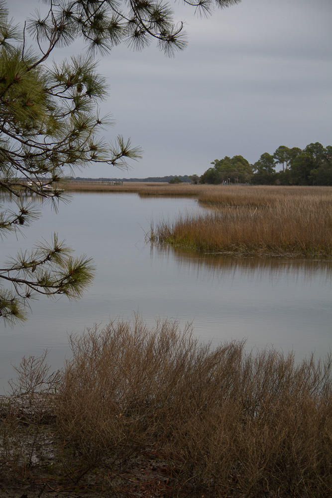 Water wanders its way through the marsh and out to the sea.