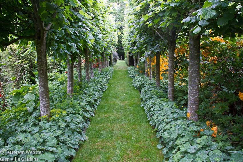 This path is not as narrow as it appears to be: tall trees and the border of hostas narrow the space visually.  