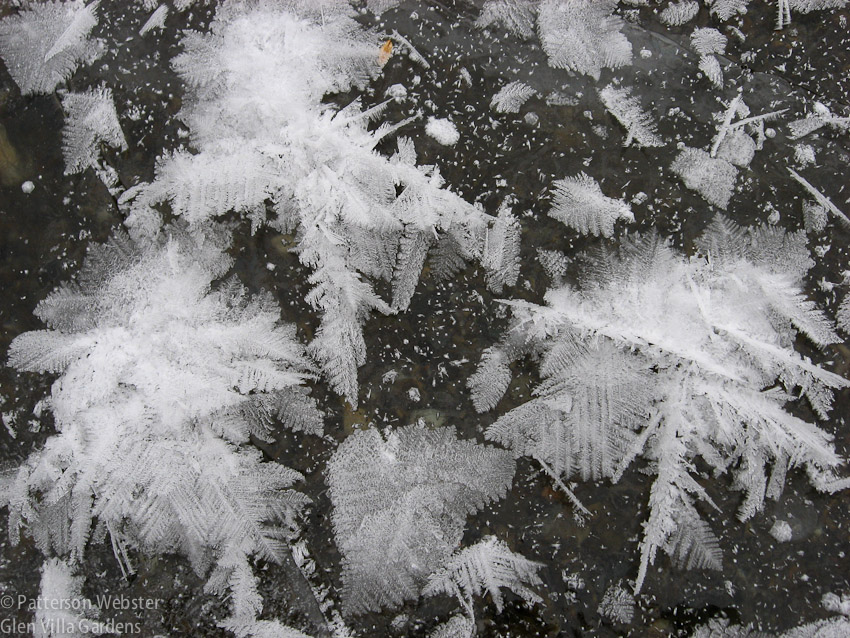 Ice crystals on the lake: frozen beauty.
