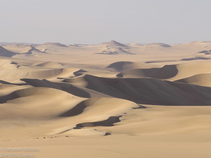 Sand dunes have a stark beauty all their own.