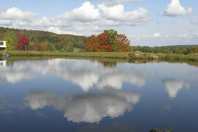 Blue sky, puffy white clouds and autumn colour are reflected in the Skating Pond at Glen Villa.