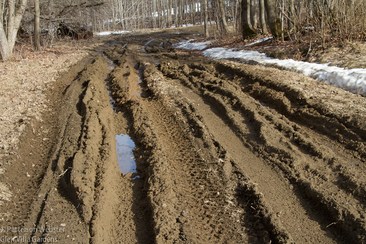 Most cars would get stuck in the mud. Thankfully this year only one driver tried it -- and made the trip successfully.  