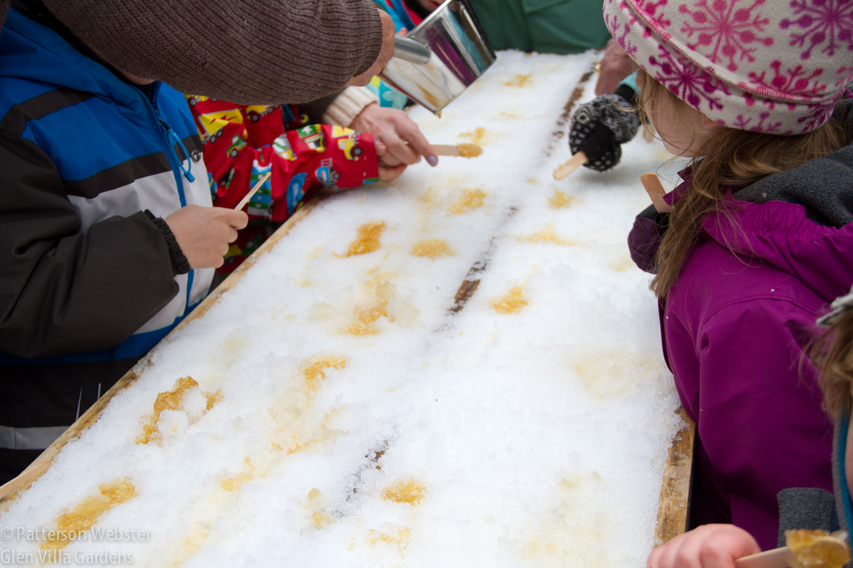 Children quickly learn how to dip and twirl to get just the right mix of syrup and snow crystals. Yum doesn't begin to describe the sugar rush.