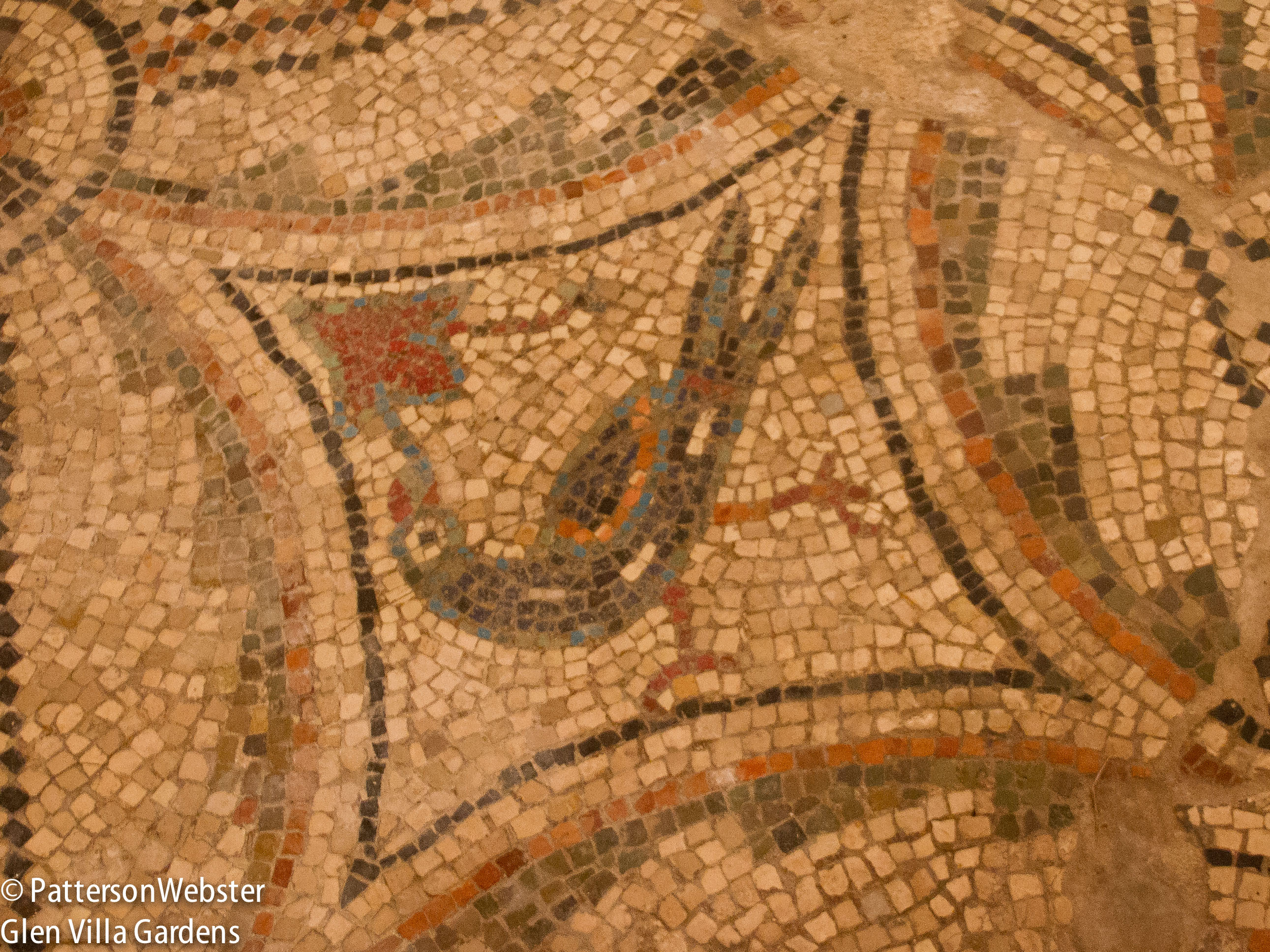 Another floor mosaic, formerly at S. Apollinare in Classe.