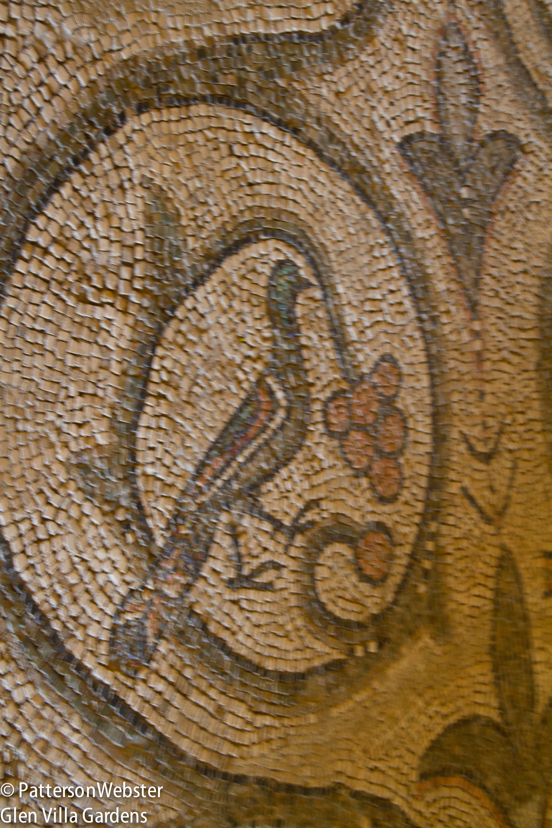 A dove perches on a branch in a floor mosaic in the basilica of San Vitale.