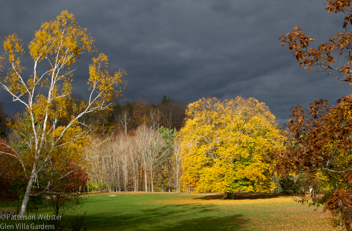 Autumn foliage becomes more dramatic against a stormy sky. I took this photo a few years ago.