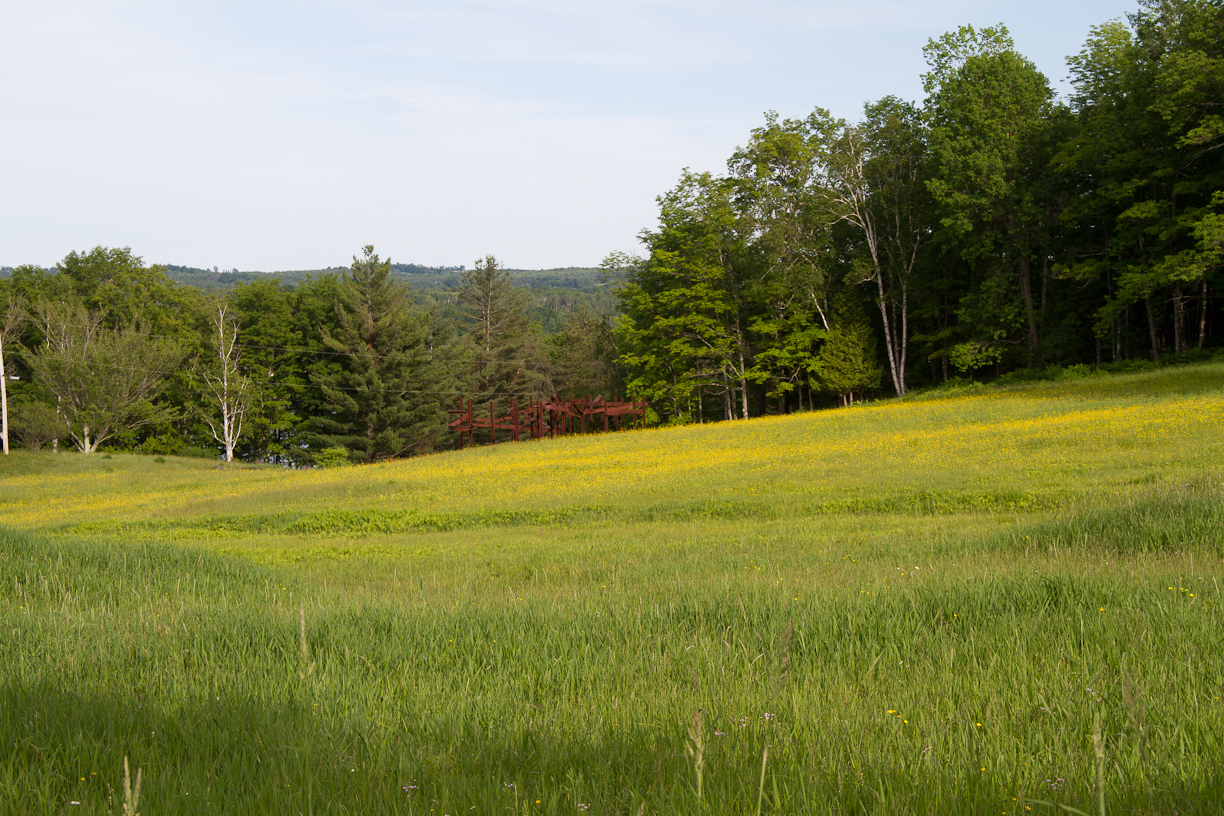 The upper field is full of buttercups in late spring. 