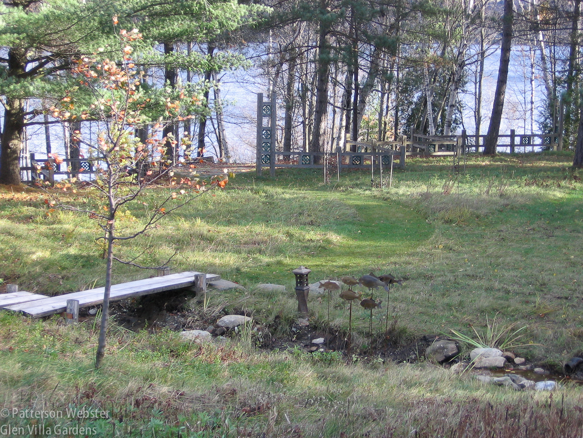 This view of the Asian meadow is from October 2007. Near the fence in the background you can see some temporary fencing put up to protect the first shrubs I planted.