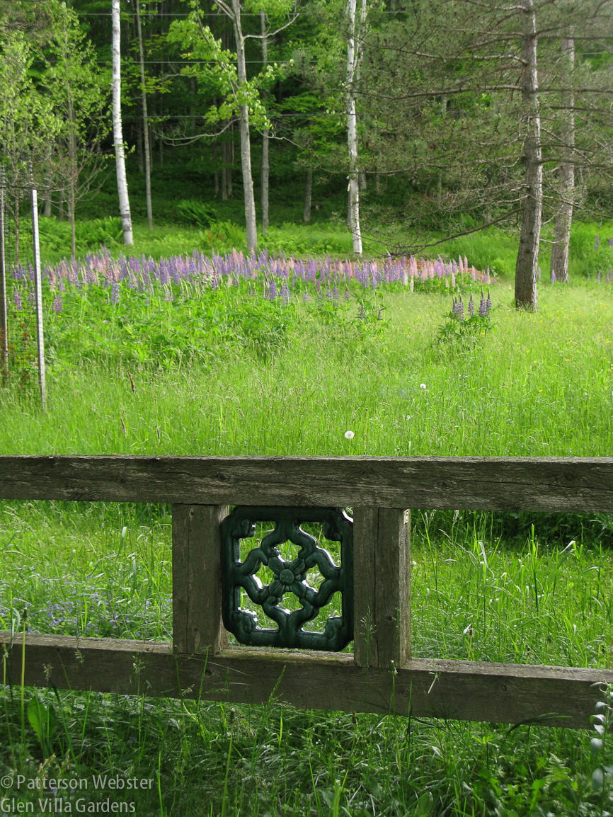 The tiles follow traditional designs. Some have good luck symbols, this one does not. On the left of the photo is a stack for a temporary fence around a shrub. 