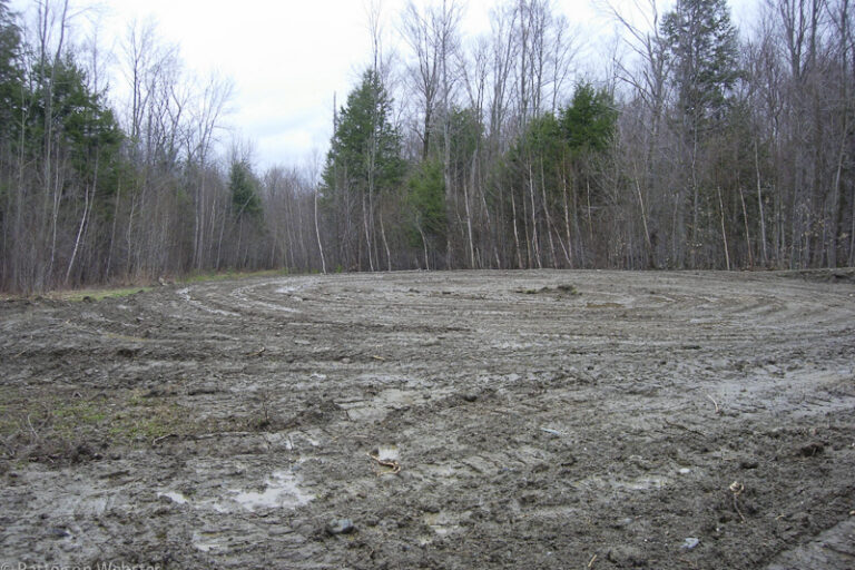 We started with a flat muddy mess.