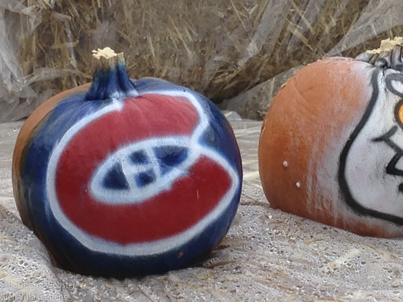 Hockey fans will recognize the Habs logo. Surprisingly, I didn't see any Blue Jay pumpkins. I did see a Spiderman but didn't take a photo of it.