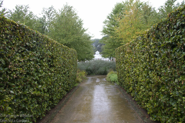 Hedges define the boundaries of this walkway into one of the nine garden