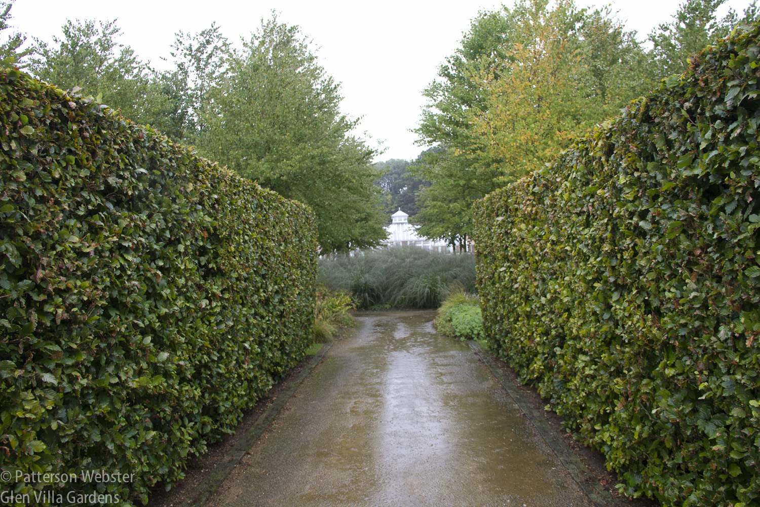 Hedges define the boundaries of this walkway into one of the nine garden 'rooms' within Scampston Hall's Walled Garden.