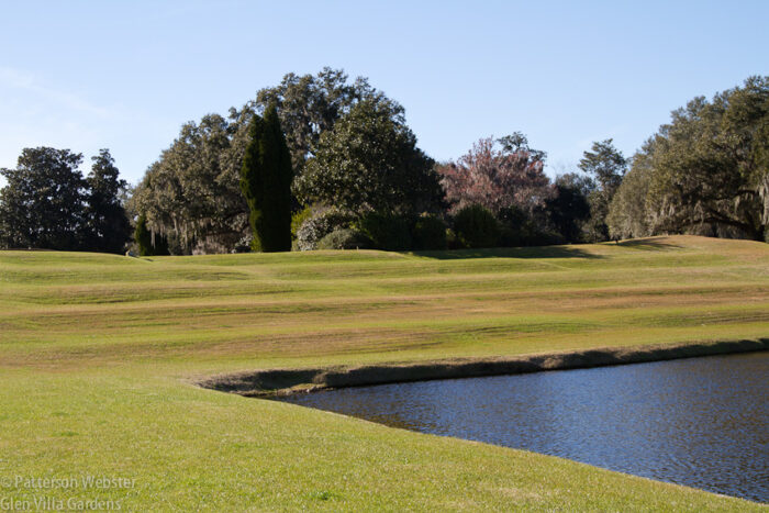 The contours of the terracing are visible when looking up the hill.