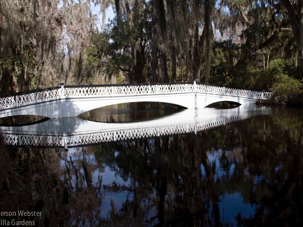 This bridge is one of the most photographed features at Magnolia Plantation. To me the ovals reflected in the black water look like elongated eyes.