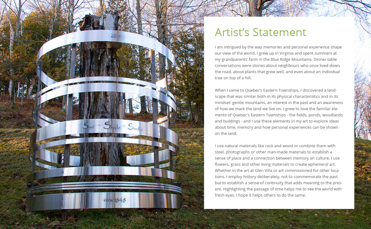 This photo of Tree Rings now accompanies my Artist's Statement on the Site and Insight website. 