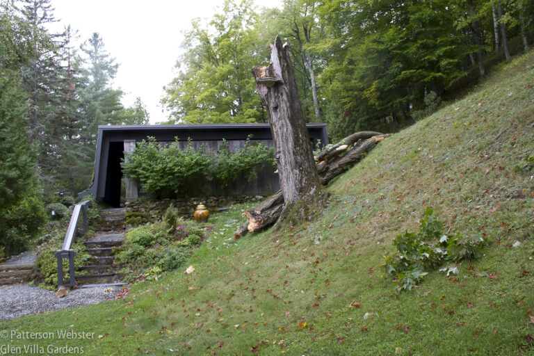 The tree stood between the house and the garage, the flat-roofed building seen here.