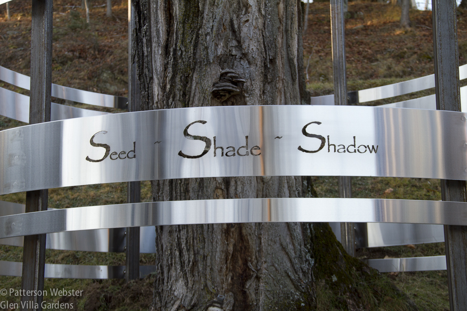 Seed Shade Shadow: the life of the tree compressed into three words.