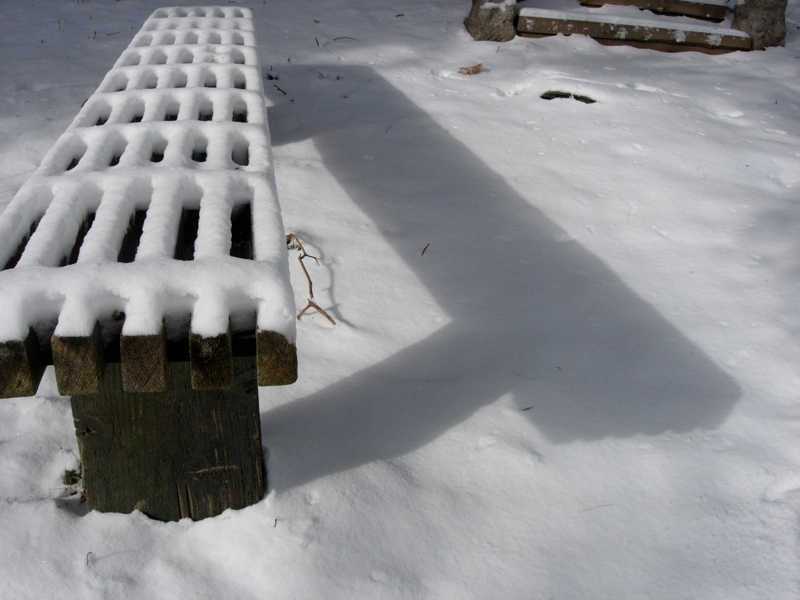 shadows, bench in snow