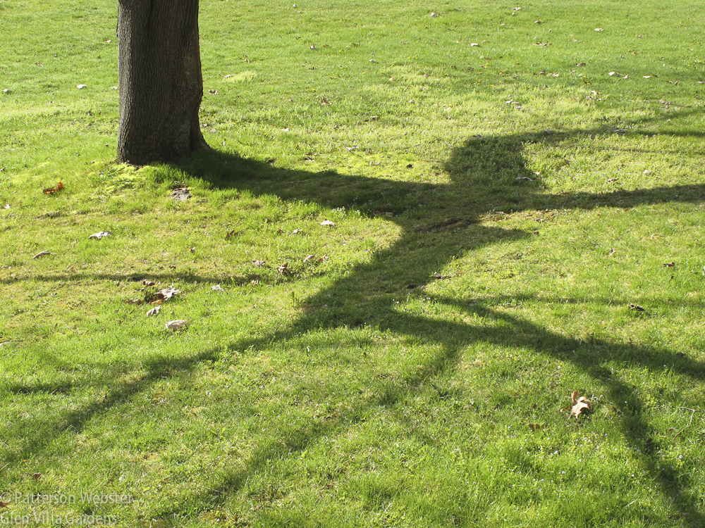 This shadow looks ike an insect dancing across the grass.