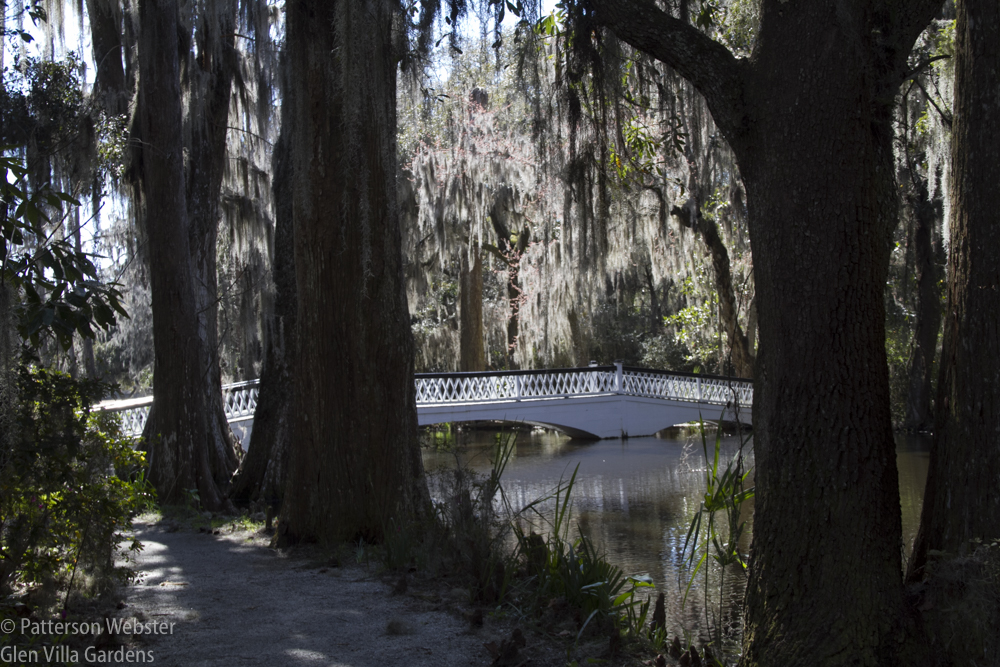 Seen through a curtain of Spanish moss, the bridge is undeniably appealing.