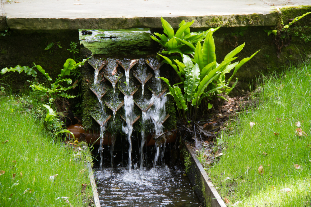 Water running down the rill at Shute House in Dorset sings a quiet song to those who listen.