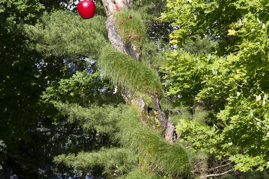 The snake in the Garden of Eden is an obvious Biblical allusion. The way the snake is winding its way up the tree also suggests paintings by Lucas Cranach and others. Using reflectors for the snake