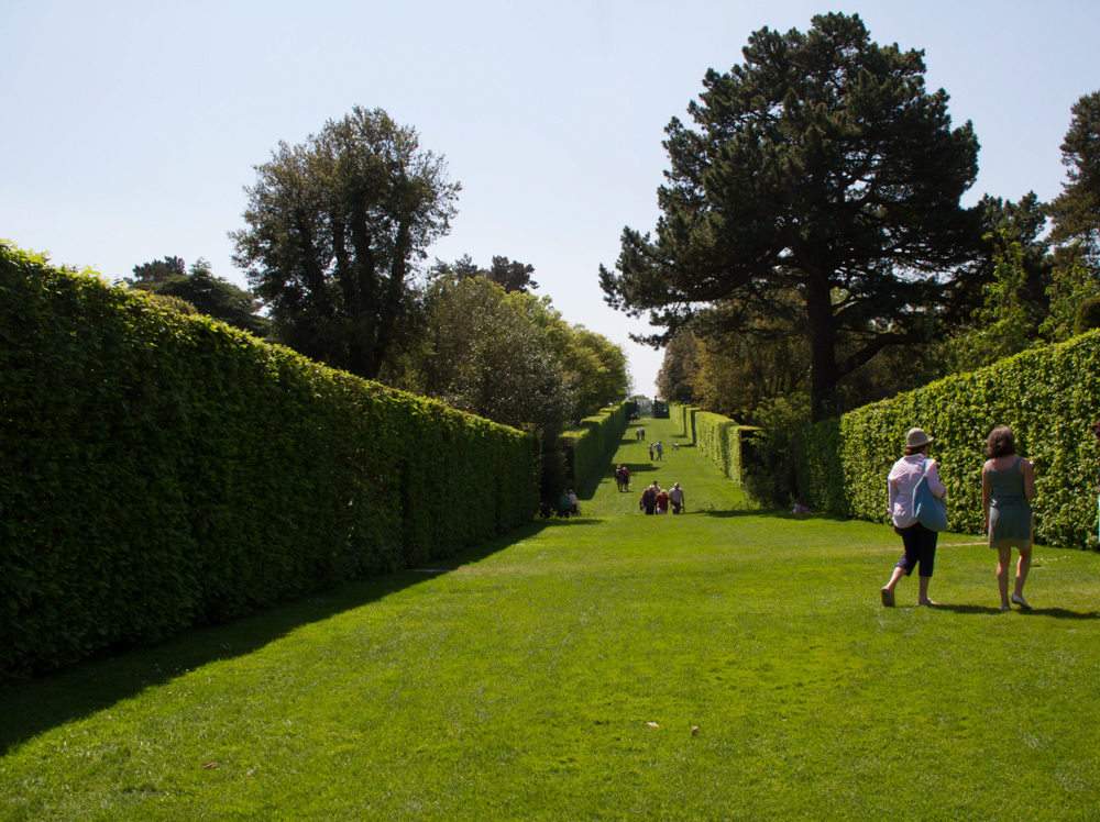 Hedges define the long path that leads towards open country fields.