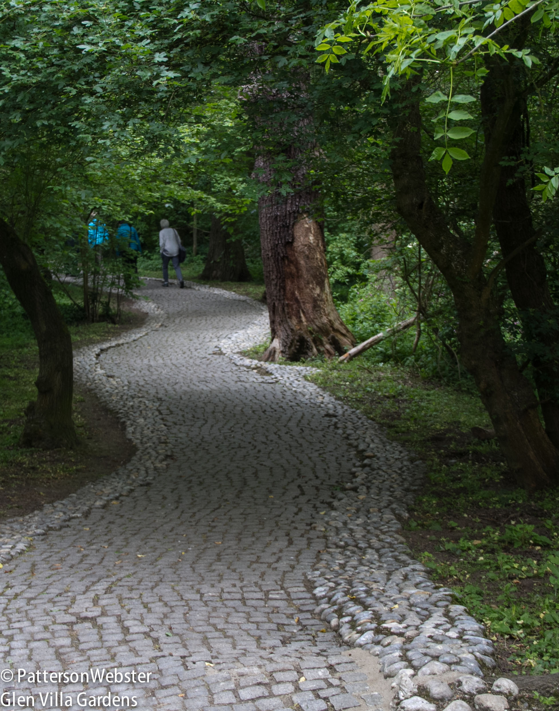 A river of cobblestones surrounds an uneven, curving path.