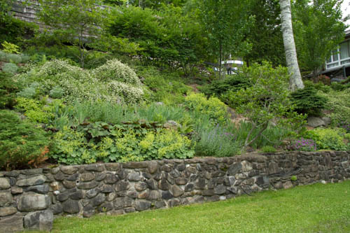 This side view of the hillside in the Lower Garden shows the stone wall that was part of a summer cottage that once stood at this spot.